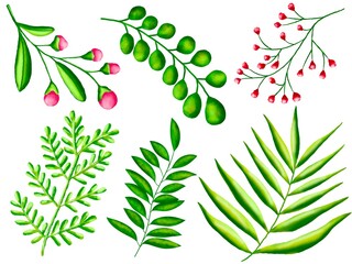 set of leaves and berries