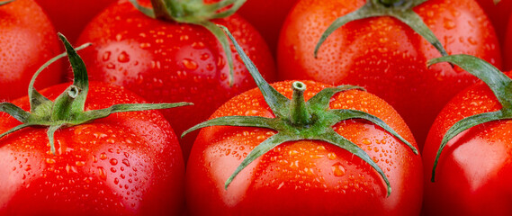 Lots of juicy ripe tomatoes