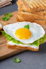 Sandwiches with curd cheese, fried egg and herbs