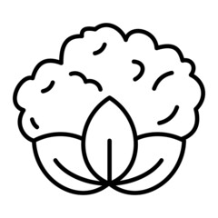 Cauliflower Vector Outline Icon Isolated On White Background