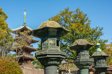Japanese traditional  bronze lanterns, called 'Toro' from the Heian period (794–1185) on the grounds with Toeizan Kan'ei-ji Endon-in Tendai Buddhist temple, founded in 1625 at the back in Tokyo, Japan