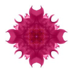 A beautiful fairy flower. A fantastic unusual flower. A unique abstract illustration. A beautiful image will decorate design projects and ideas.