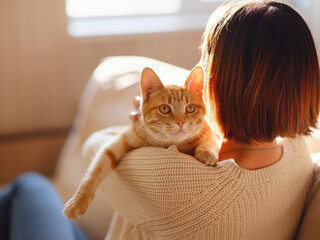 Young asian woman wears warm sweater resting with tabby cat on sofa at home one autumn day. Indoor shot of amazing lady holding ginger pet. Morning sleep time at home. Soft focus.