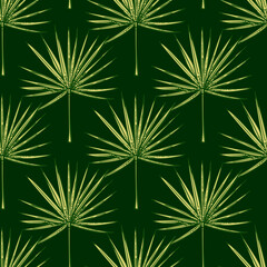 Fan palm leaves seamless pattern.Vintage tropical branch in engraving style.