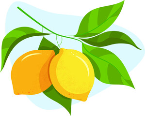 lemons with leaves, lemons on a branch