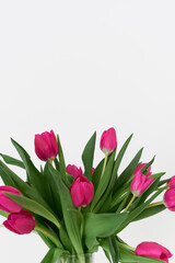 Pink tulips. Bouquet of spring flowers