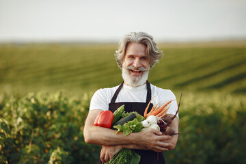 Senior with box vegetables garden background sunse