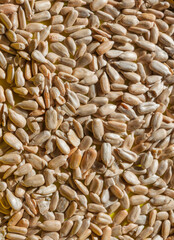 Obraz premium Close up photo of peeled sunflower seeds
