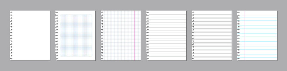 Vector realistic torn sheets of paper from exercise book. Squared and lined blank pages. - 493458167