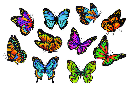 Butterfly set. Vector stock illustration eps10. 