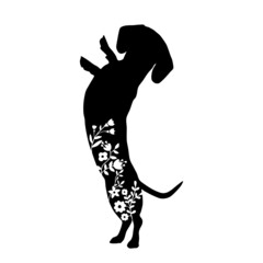 cute dachshund silhouette