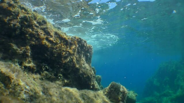 Tidal wave and sun rays near the underwater cliff, bottom view.