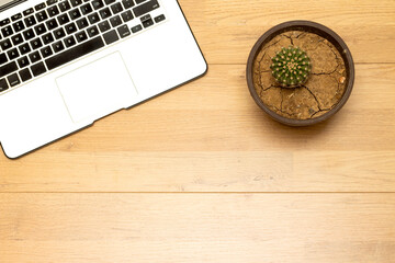 Fototapeta na wymiar Front View of Modern Laptop, glove cactus pot plant