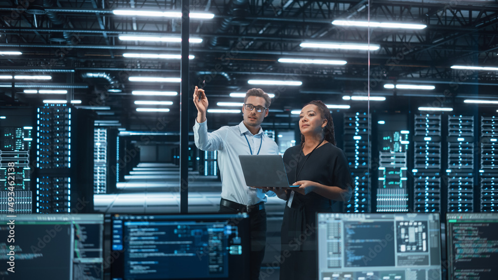 Poster Diverse Big Data Center Server: e-Business Enrepreneur and IT Specialist talk, Use Laptop. Information Technology Engineer and System Administrator Monitoring Web Services Cloud Solution Software