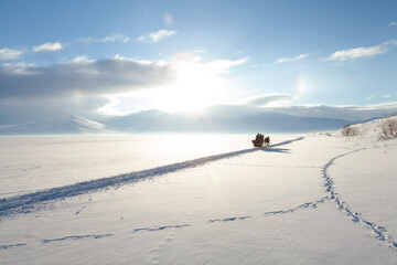 Sled horse in the frozen lake Cıldır in snow