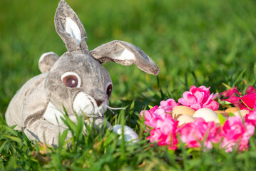 plush rabbit on green grass with eggs