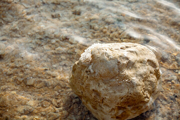 Brown beach cobble near water of Dead sea,  covered by white crystals of salt