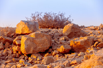 pile of stones and dry bush on the top of canyon are illuminated by sunset sun