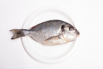 Fototapeta premium sea bream on a white background