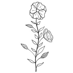 Hand drawn flower isolated on white background. Vector floral summer element. Decorative doodle sketch illustration.