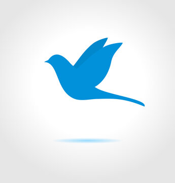 Blue bird on gray background. Abstract vector symbol.
