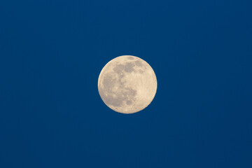 Yellow super moon glowing against dark blue evening sky, moody background