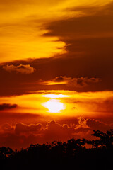 Sunset or evening time behind tree leaf with red sky.