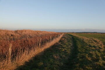 Fototapeta premium A beautiful scenic view along a rural grassy footpath by a fenced off reedbed in the late afternoon autumn sunlight. 