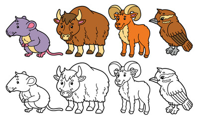 vector illustration set of cartoon wild animals and variants for coloring book - obrazy, fototapety, plakaty