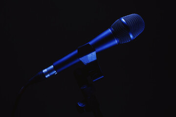 Vocal Microphone Details