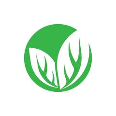 Leaf vector logo template icon design