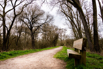chemin avec arbres et banc