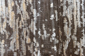 light wood with interesting grain