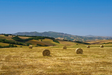 Country landscape in Avellino province, Campania, Italy, at summer
