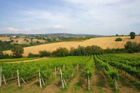 Country landscape in Benevento province, Campania, Italy, at summer