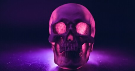 Skull with colored lighting closeup