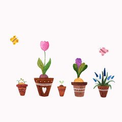 Naklejka na ściany i meble tulips in a pot