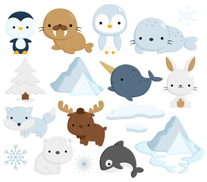 A Vector Set of Cute and Simple Arctic Animals