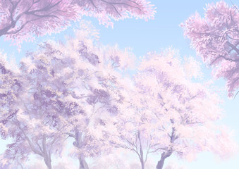 Naklejka premium 水彩風の桜背景_雲なし_花弁なし/A4