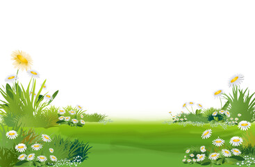décor herbe verte et marguerites  blanches sur fond blanc