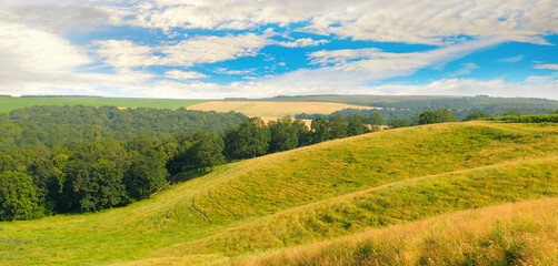 Vast grassy meadow with distant hills, trees and cloudy sky. Wide photo.
