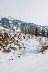 Val Roseg, Ova da Roseg, Rosegbach, Winterwanderweg, Langlauf, Langlaufloipe, Wald, Kutschenfahrt, Berninagruppe, Oberengadin, Piz Roseg, Gletscher, Alpen, Winter, Graub&uuml;nden, Schweiz