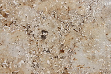 unevenly textured surface of a marbled stone tile