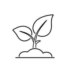 Sprout plant in soil with two leaves. Lineart vector icon.