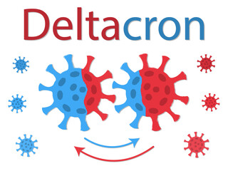 Deltacron is a combination of delta and omicron. Recombination of viruses. Schematic drawing. Two viruses exchange their DNA. The exchange is shown by the color of the coronavirus spike proteins.