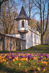 The beginning of spring in the Kielce city park. Historic tower with blurry flowers in the...