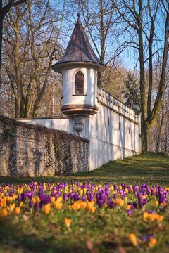 The beginning of spring in the Kielce city park. Historic tower with blurry flowers in the foreground.