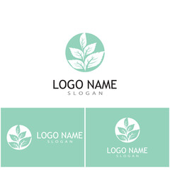 Mint leaves flat vector color icon template illustration design