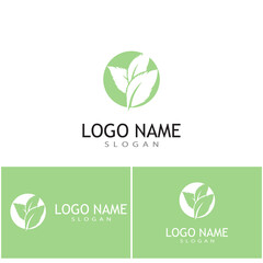 Mint leaves flat vector color icon template illustration design