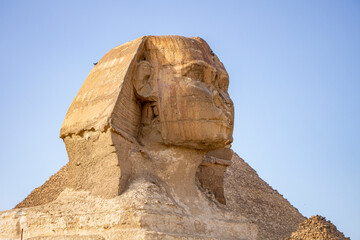 Fototapeta na wymiar Famouse Sphinx Giza